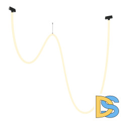 Трековый подвесной светильник Maytoni Tau TR101-2-100W3K-B