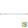 Светодиодная лента Arlight RT-A30-8mm 24V White6000 (2.9 W/m, IP20, 2835, 5m) 019917(2)