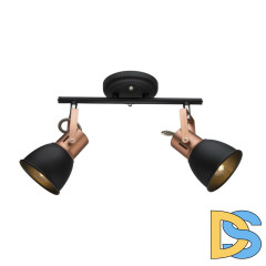 Спот Arte Lamp A1677PL-2BK