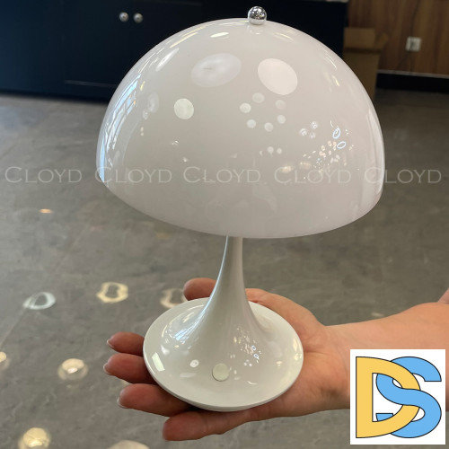 Настольная лампа Cloyd Aktuell 30129