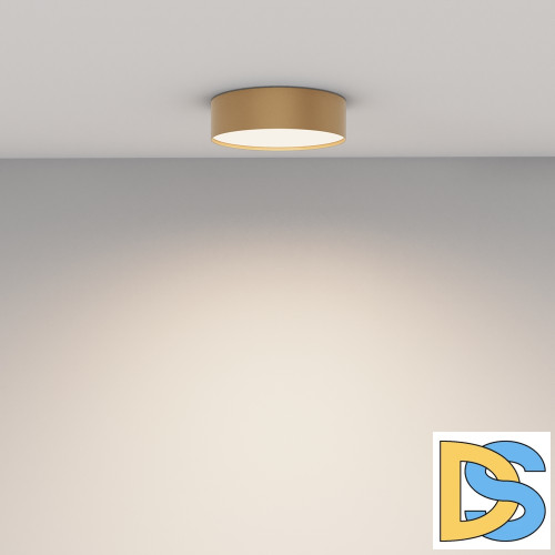 Потолочный светильник Maytoni Technical Ceiling Zon C032CL-24W4K-RD-MG