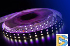 Светодиодная лента DesignLed DSG5120-24-RGB+NW-33 001205