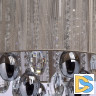 Потолочная люстра MW-Light Жаклин 465011305