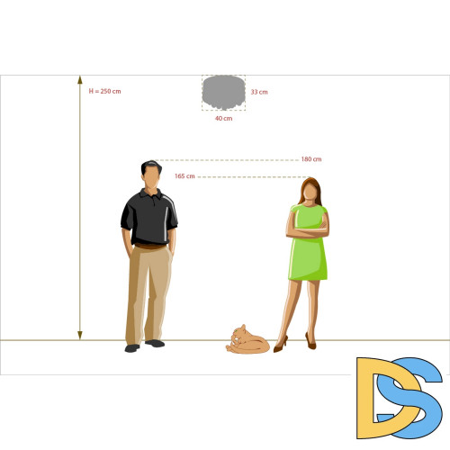 Потолочная люстра MW-Light Жаклин 465011305