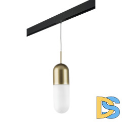 Трековый светильник Lightstar Ramo PRO690113 (690113+595007)