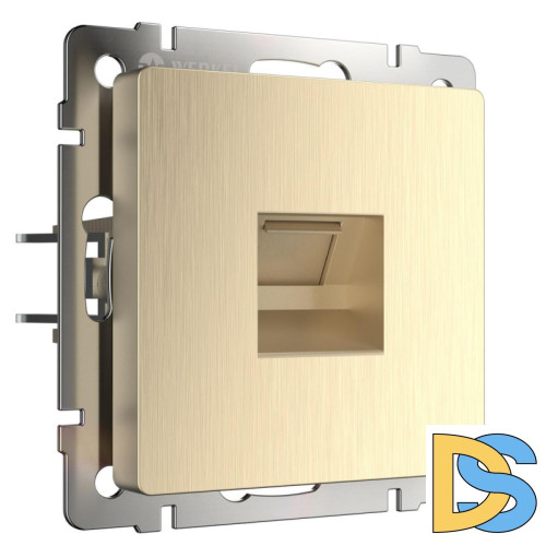 Розетка Ethernet RJ-45 Werkel шампань рифленый W1181010 4690389160608