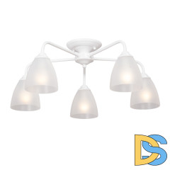 Потолочная люстра Vitaluce V3946-0/5PL