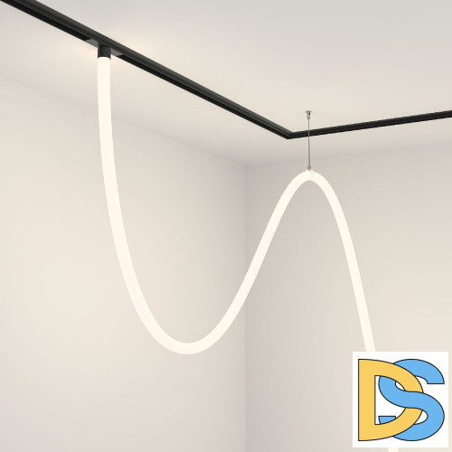 Трековый подвесной светильник Maytoni Tau TR101-2-100W4K-B