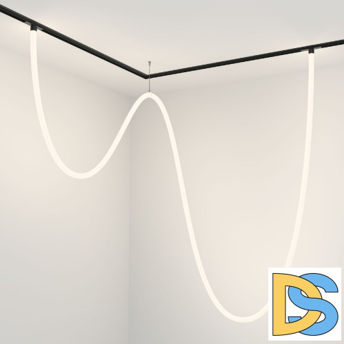 Трековый подвесной светильник Maytoni Tau TR101-2-100W4K-B