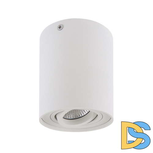 Потолочный светильник Lightstar Binoco 052016