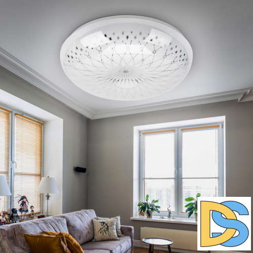 Потолочный светильник Эра SPB-6-24-6,5K Feya Б0054082