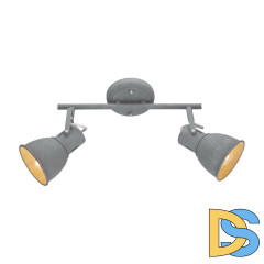Спот Arte Lamp A1677PL-2GY