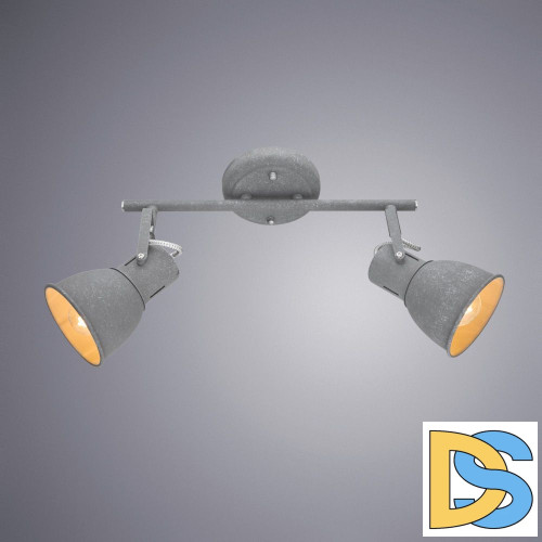 Спот Arte Lamp A1677PL-2GY