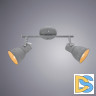 Спот Arte Lamp A1677PL-2GY