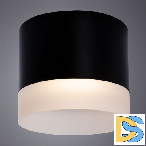 Потолочный светильник Arte Lamp Castor A5554PL-1BK