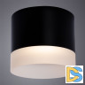 Потолочный светильник Arte Lamp Castor A5554PL-1BK