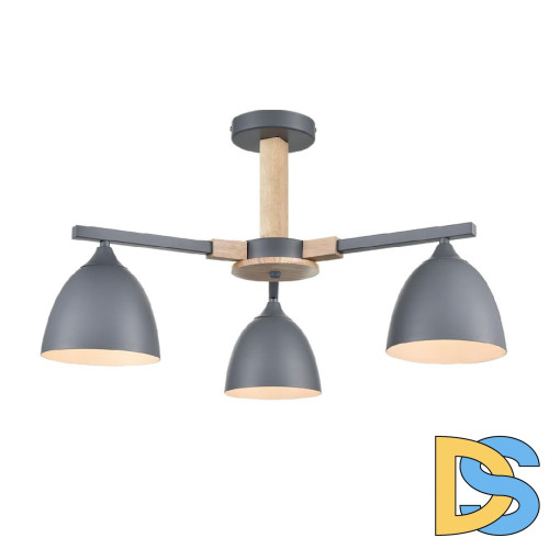 Люстра на штанге Lumion Colange 8096/3C