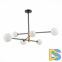 Подвесная люстра Evoluce Arcola SLE220103-06
