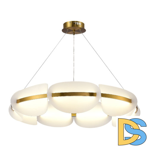 Подвесная люстра ST Luce Etoile SL1304.203.56