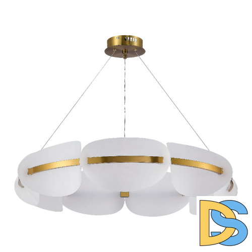 Подвесная люстра ST Luce Etoile SL1304.203.56