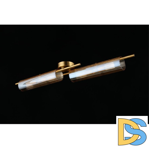 Потолочная люстра Aployt Lusia APL.315.07.04