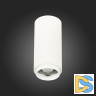 Потолочный светильник ST Luce Zoom ST600.542.10