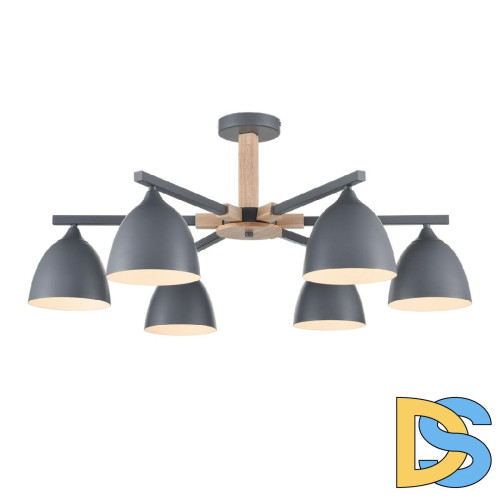 Люстра на штанге Lumion Colange 8096/6C