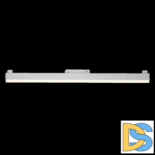 Трековый светильник Maytoni Technical Basis TR074-2-20W3K-W