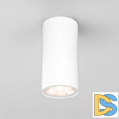 Уличный потолочный светильник Elektrostandard Light LED 4690389176555