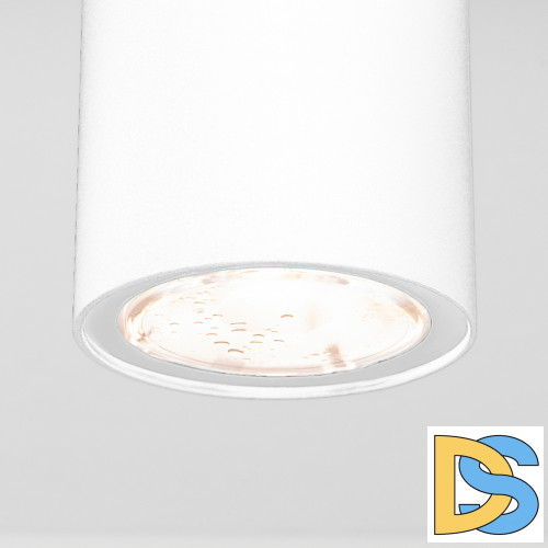 Уличный потолочный светильник Elektrostandard Light LED 4690389176555