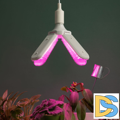 Фитолампа для растений красно-синего спектра Эра ФИТО-40W-PL-E27-GR Б0064525