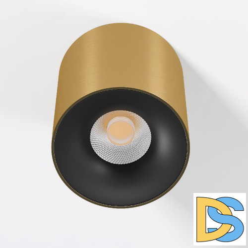 Накладной светильник Elektrostandard Primo 25116/LED 4690389212987 a069414