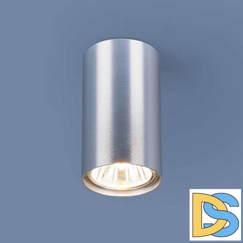 Потолочный светильник Elektrostandard 1081 GU10 SCH сатин хром 4690389107672