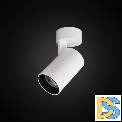 Спот Citilux Тубус CL01B070N