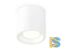 Потолочный светильник Ambrella Light Techno Spot XS7531010 (C7531, N7020)