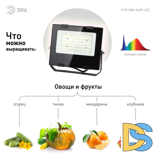 Фитопрожектор для растений ЭРА FITO-50W-Ra90-LED Б0047875