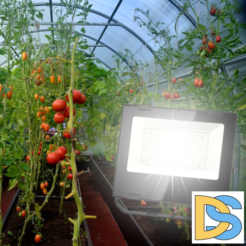 Фитопрожектор для растений ЭРА FITO-50W-Ra90-LED Б0047875