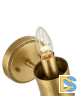 Бра Moderli Brass V11020-1W
