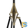 Люстра на штанге Lightstar 816037