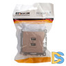 Розетка USB 2-местная Stekker Катрин 39602