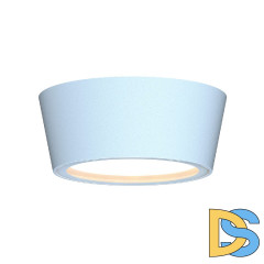 Уличный потолочный светильник Favourite Fantum 4676-1U