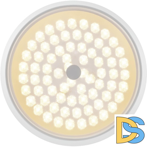 Потолочный светильник Freya Cells FR10012CL-L24W