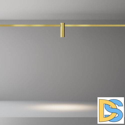 Трековый магнитный светильник Maytoni Focus Led TR143-1-5W4K-W-BS