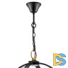 Подвесная люстра Lightstar Cero 731247