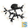 Потолочная светодиодная люстра iLedex Savage FS-017-X25 BK