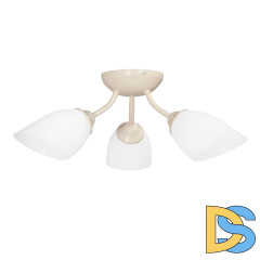 Потолочная люстра Vitaluce V3405/3PL