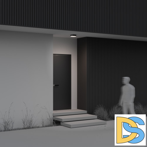 Уличный потолочный светильник Maytoni Zon IP O431CL-L30B4K