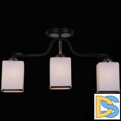 Потолочная люстра Reluce 32303-0.3-03