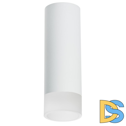 Накладной светильник Lightstar Rullo R48631 (214486+202431)