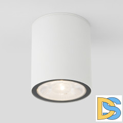 Уличный потолочный светильник Elektrostandard Light LED 4690389176579